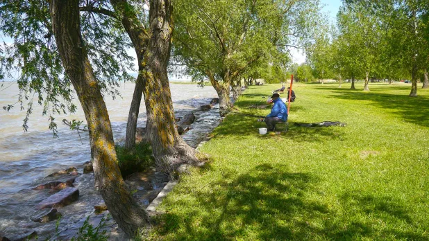 Vízpart közeli építési telek, a Balaton déli partján eladó